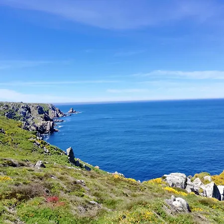 719 - Hortensias Au Calme Entre Terre Et Plouhinec (Finistere)